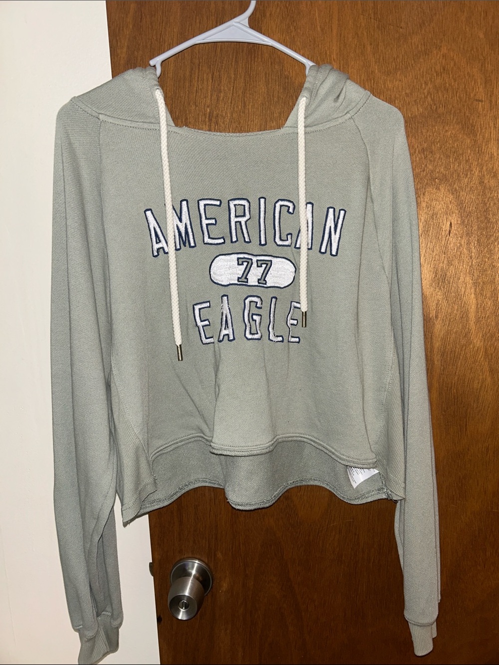 American Eagle Outfitters Light Sage Cropped Pullover Hoodie